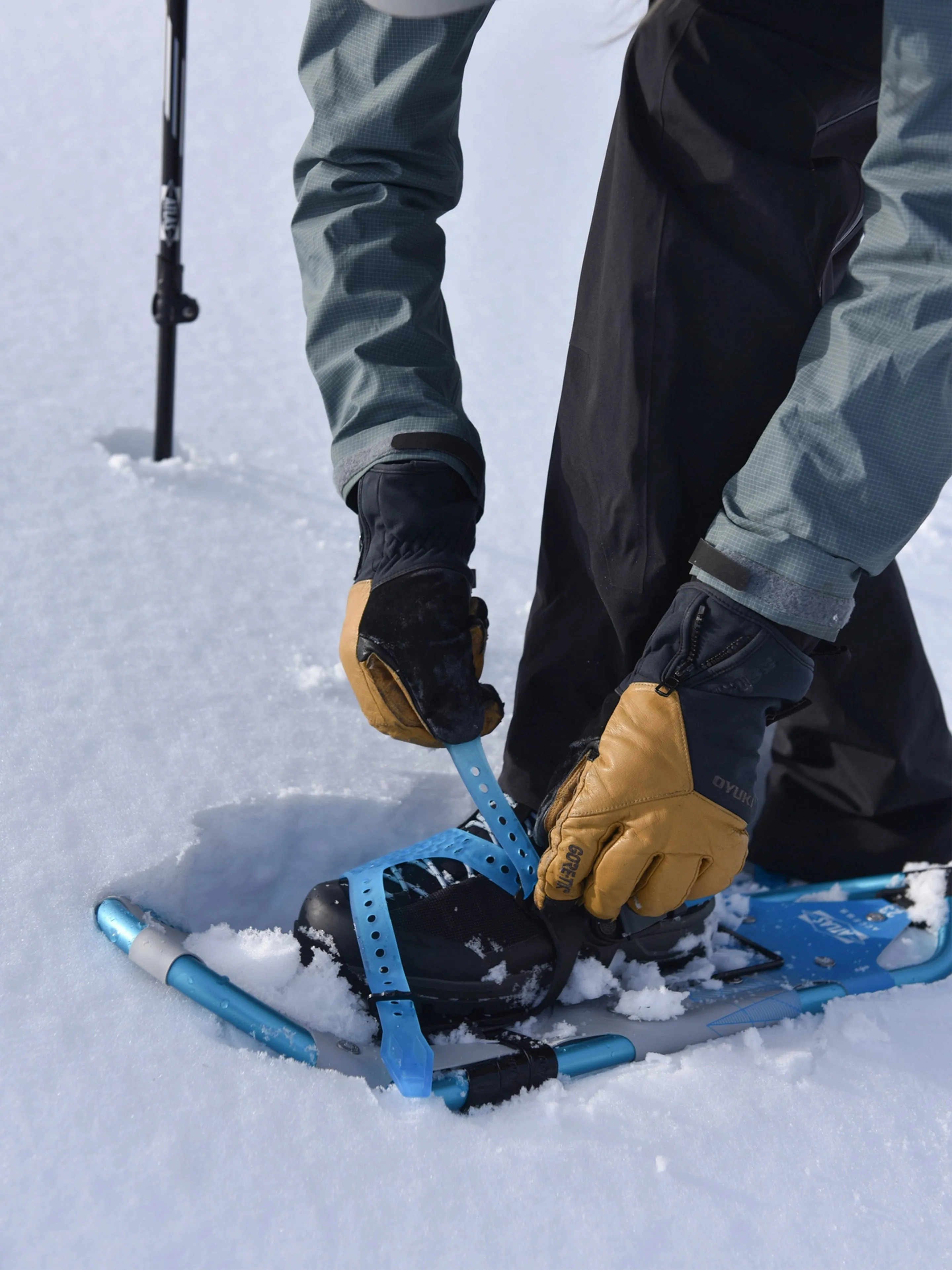 Access Elektra Snowshoe 27" (Women's)