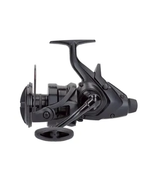 DAIWA 22 Emblem Br 10000