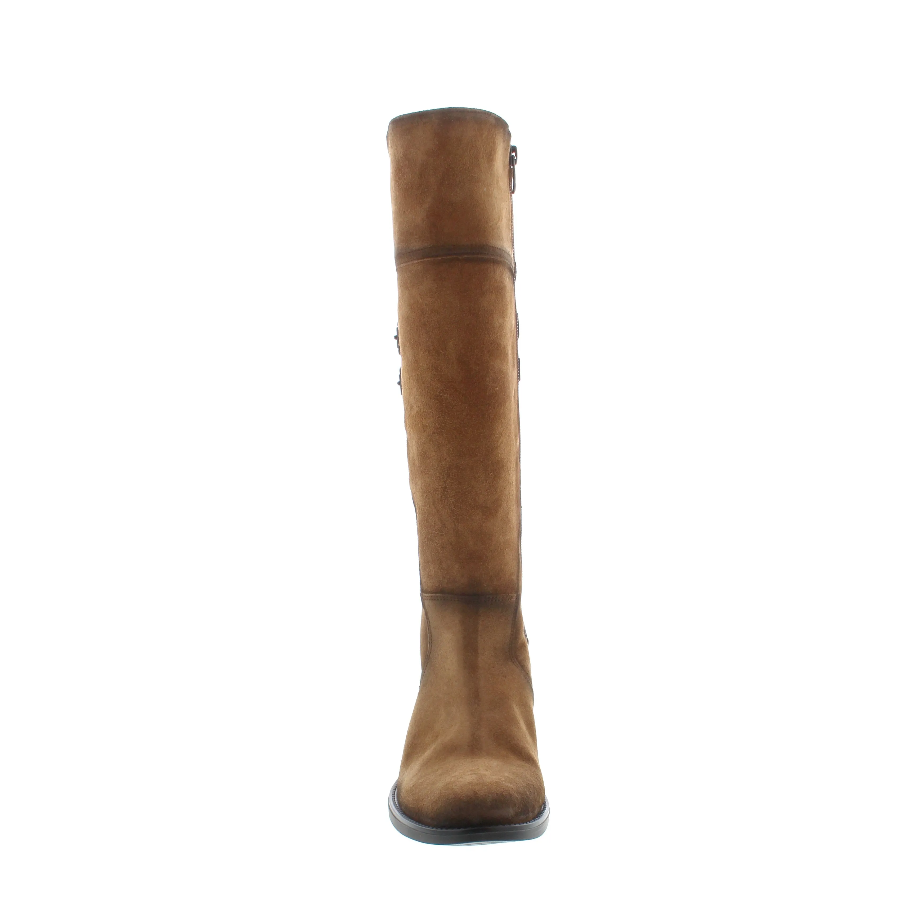 Dorking Chad D8941 - Tan