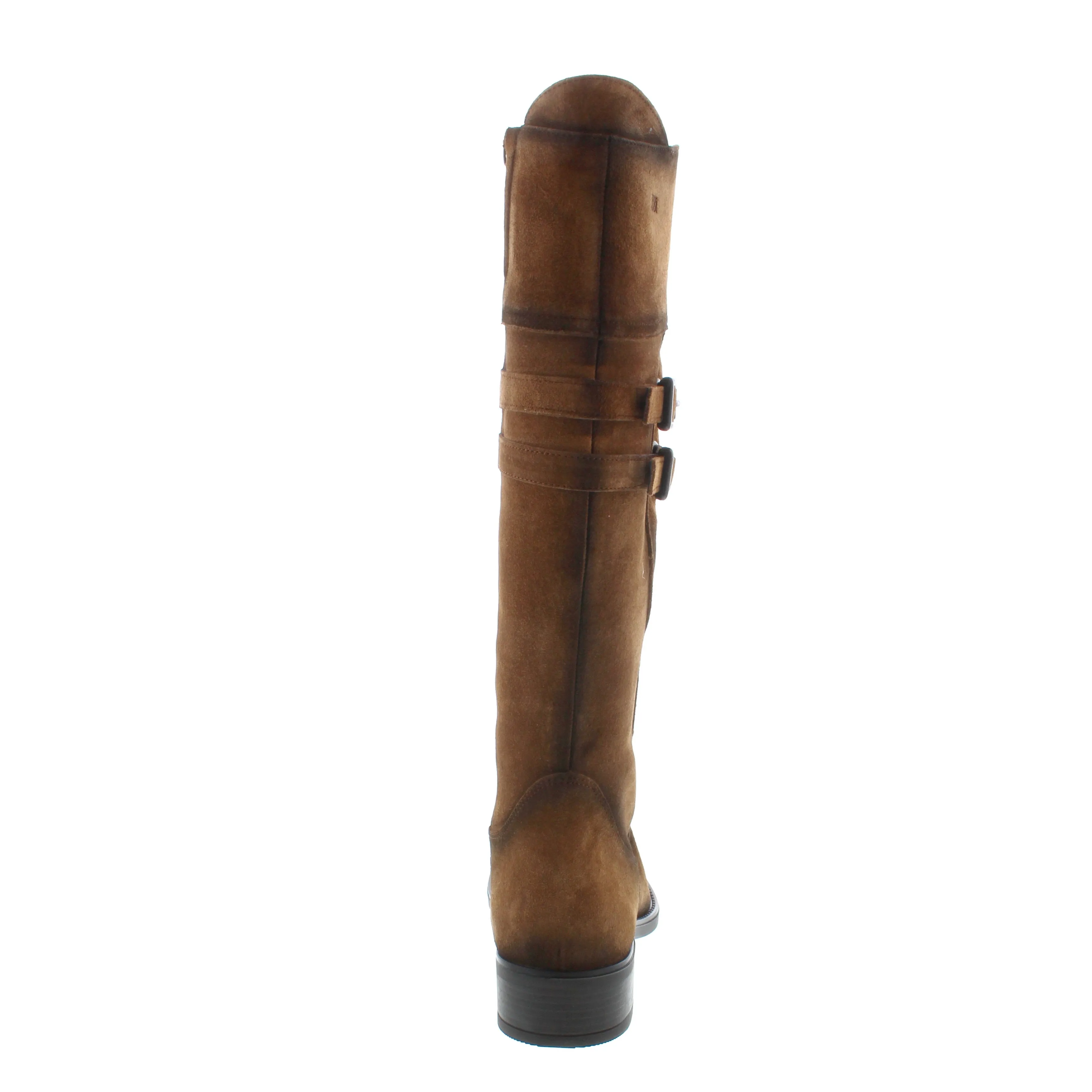 Dorking Chad D8941 - Tan