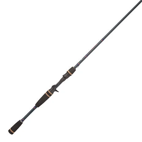 Fenwick Aetos Casting Rod
