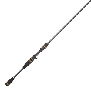 Fenwick Aetos Casting Rod
