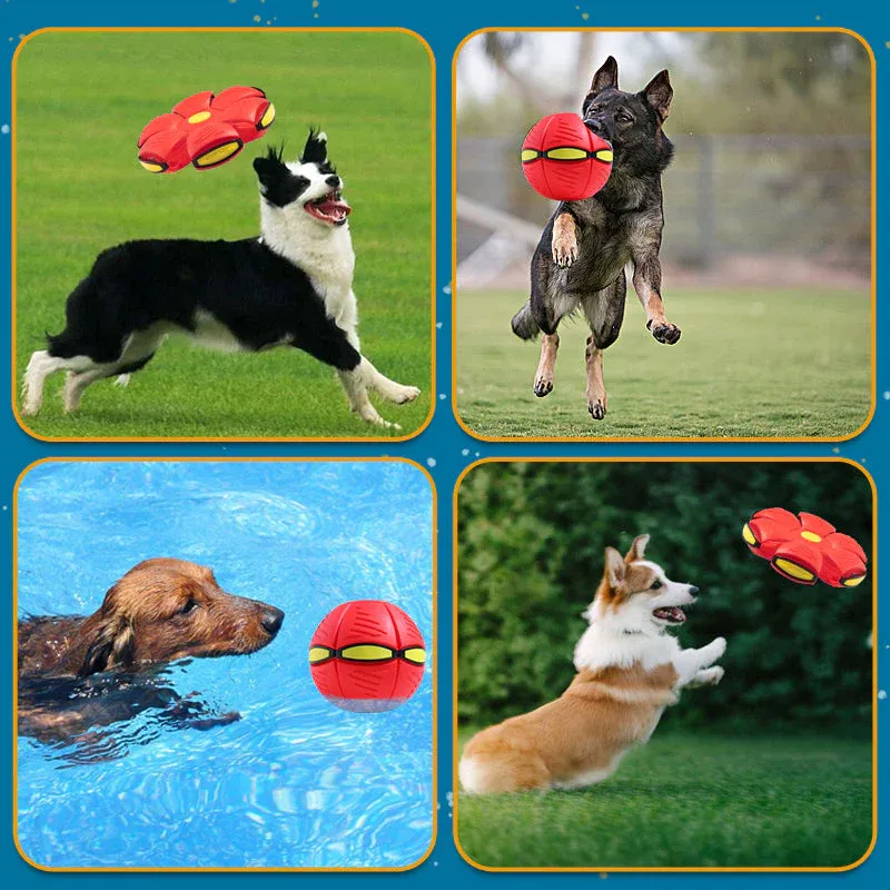 Flying Saucer Pet Ball™