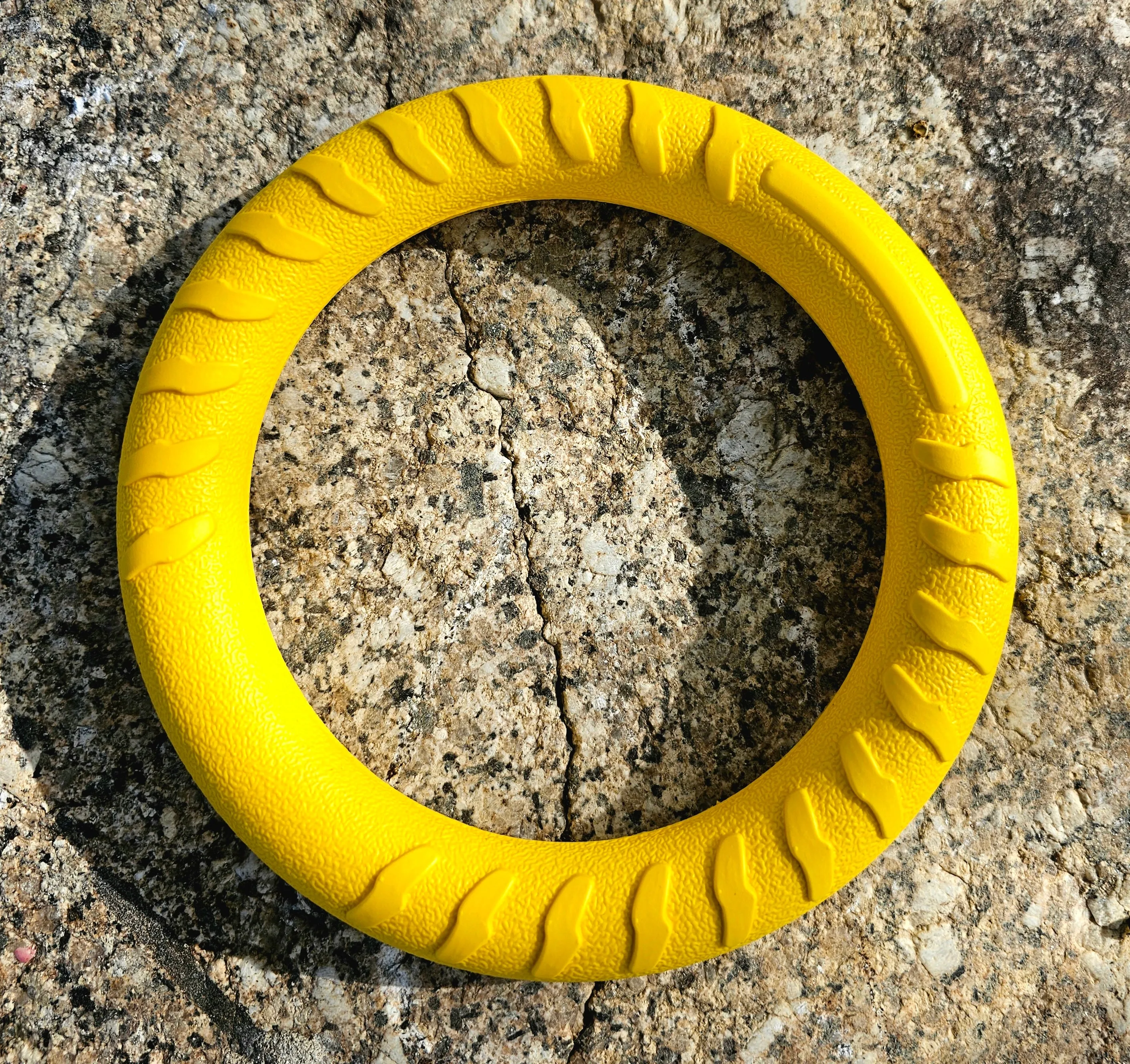FoamRing by Ruff-Paws!