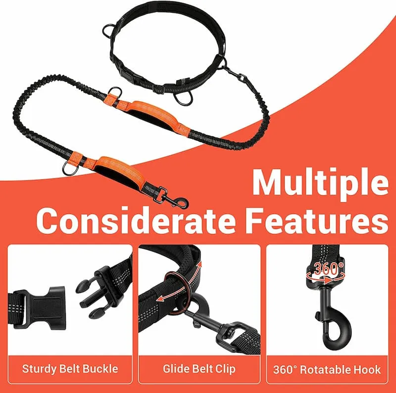 Hands-Free Dog Leash with Double Padded Handles and Strong Bungees