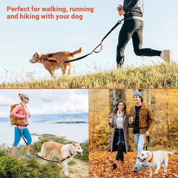 Hands-Free Dog Leash with Double Padded Handles and Strong Bungees