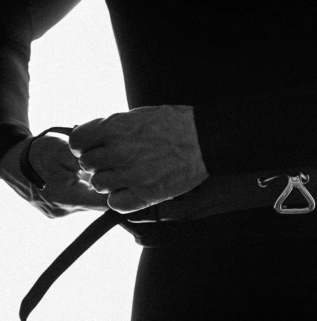 Manera Halo Harness