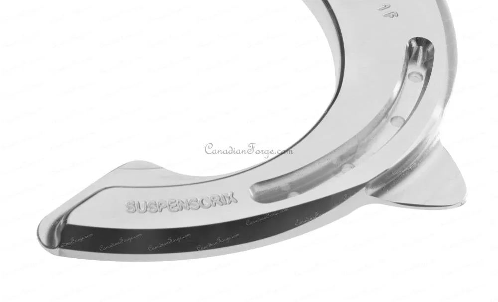 Michel Vaillant JMD Suspensorix Aluminum Horseshoes - Fronts