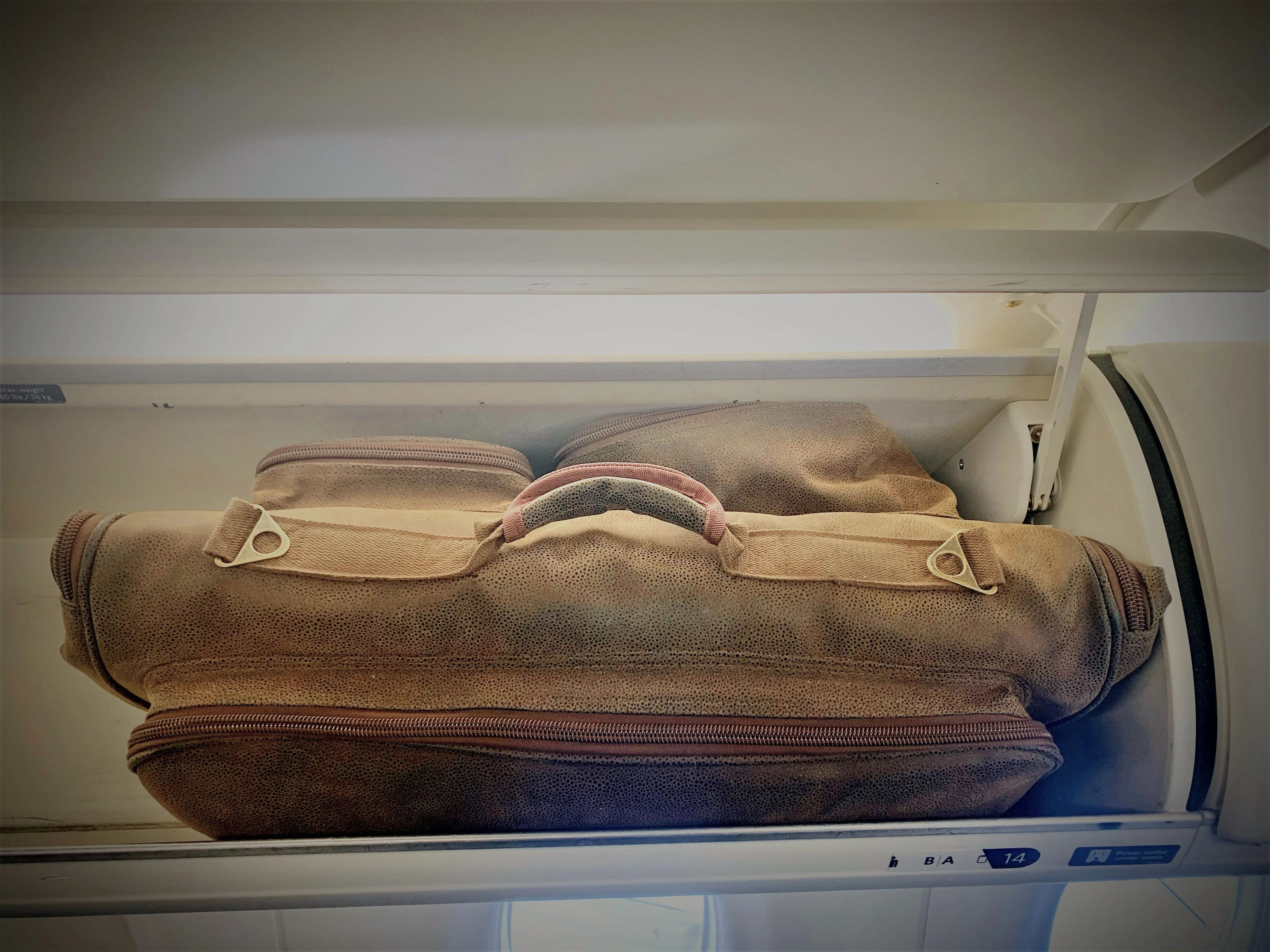 Not Just a Garment Bag - Brown Faux Suede
