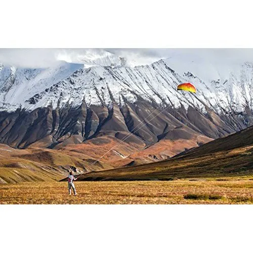 Prism Kite Technology - Tantrum 250 Dual-line Parafoil Kite with Control Bar - SLH