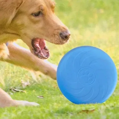 Rubber Dog Frisbee