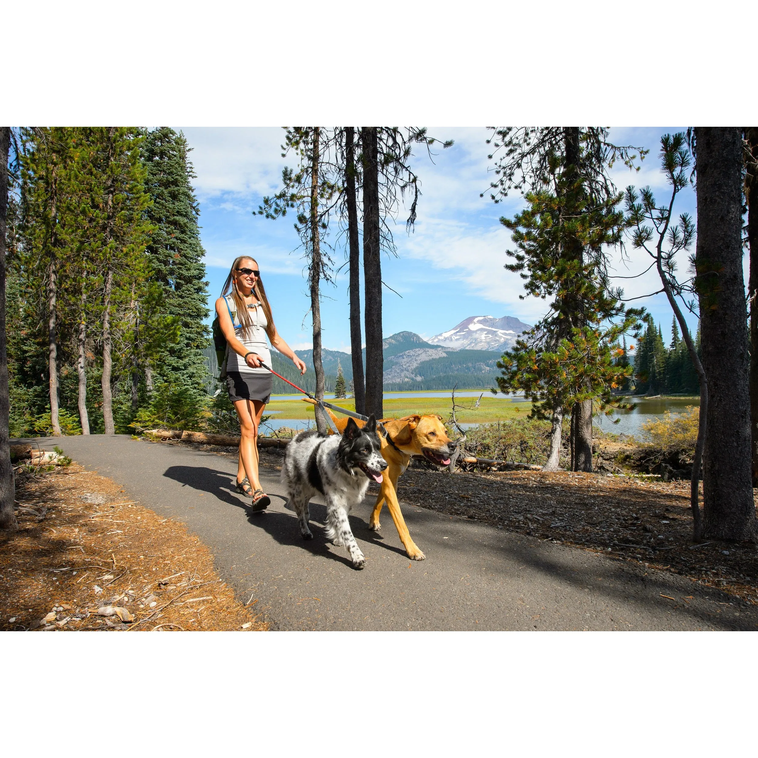 Ruffwear® | Double Track™ Coupler Two-Dog Leash Connection