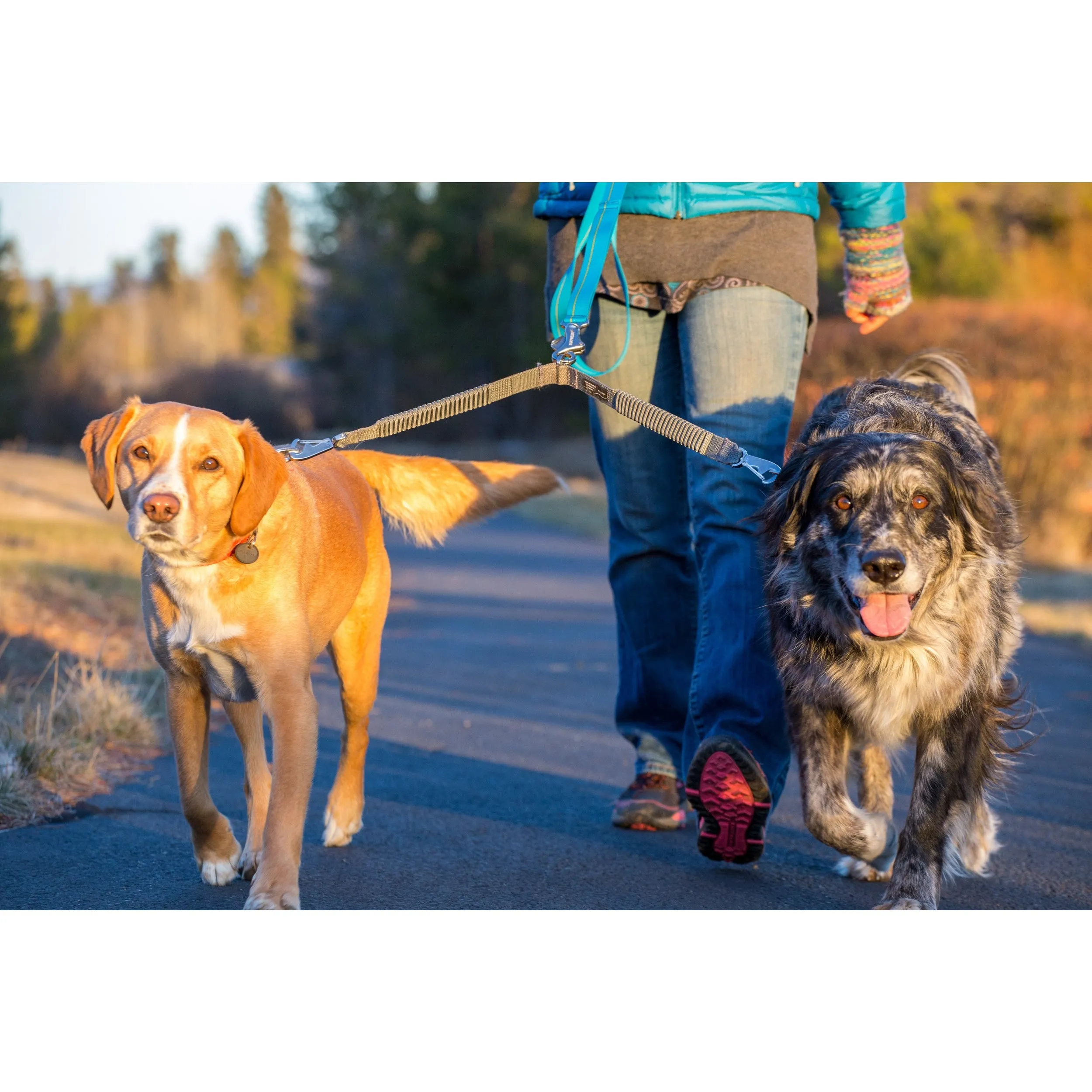 Ruffwear® | Double Track™ Coupler Two-Dog Leash Connection