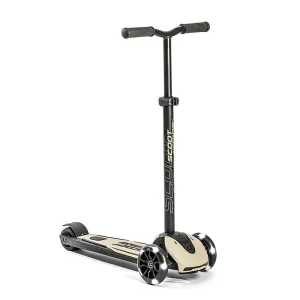 Scoot & Ride Highwaykick 5 LED Kickboard