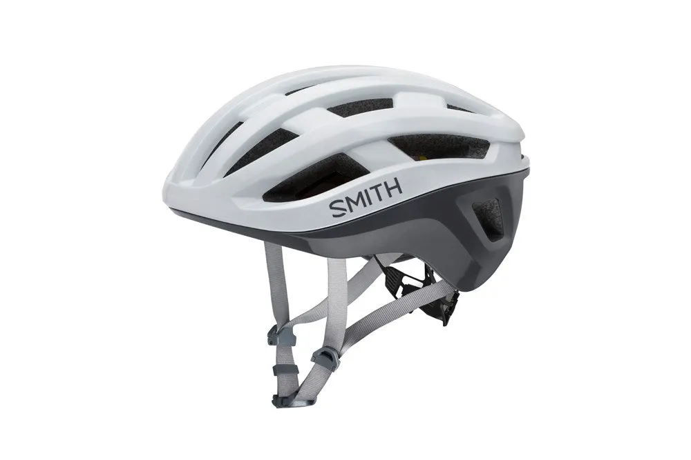 Smith - Persist MIPS