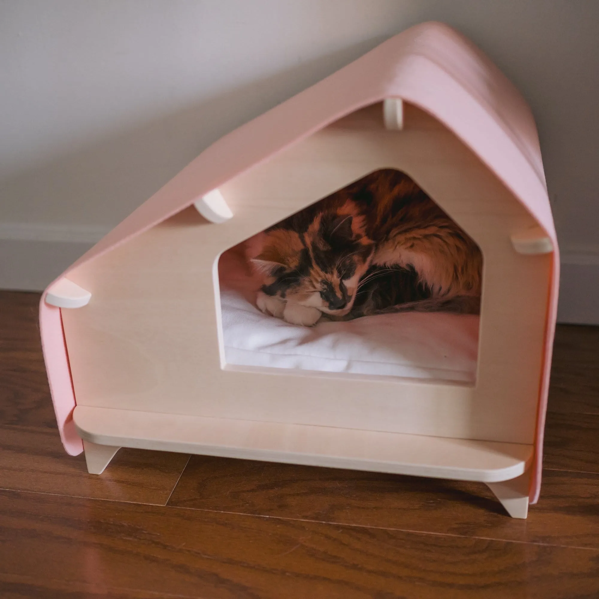 Ultimate Cat Parent Bundle