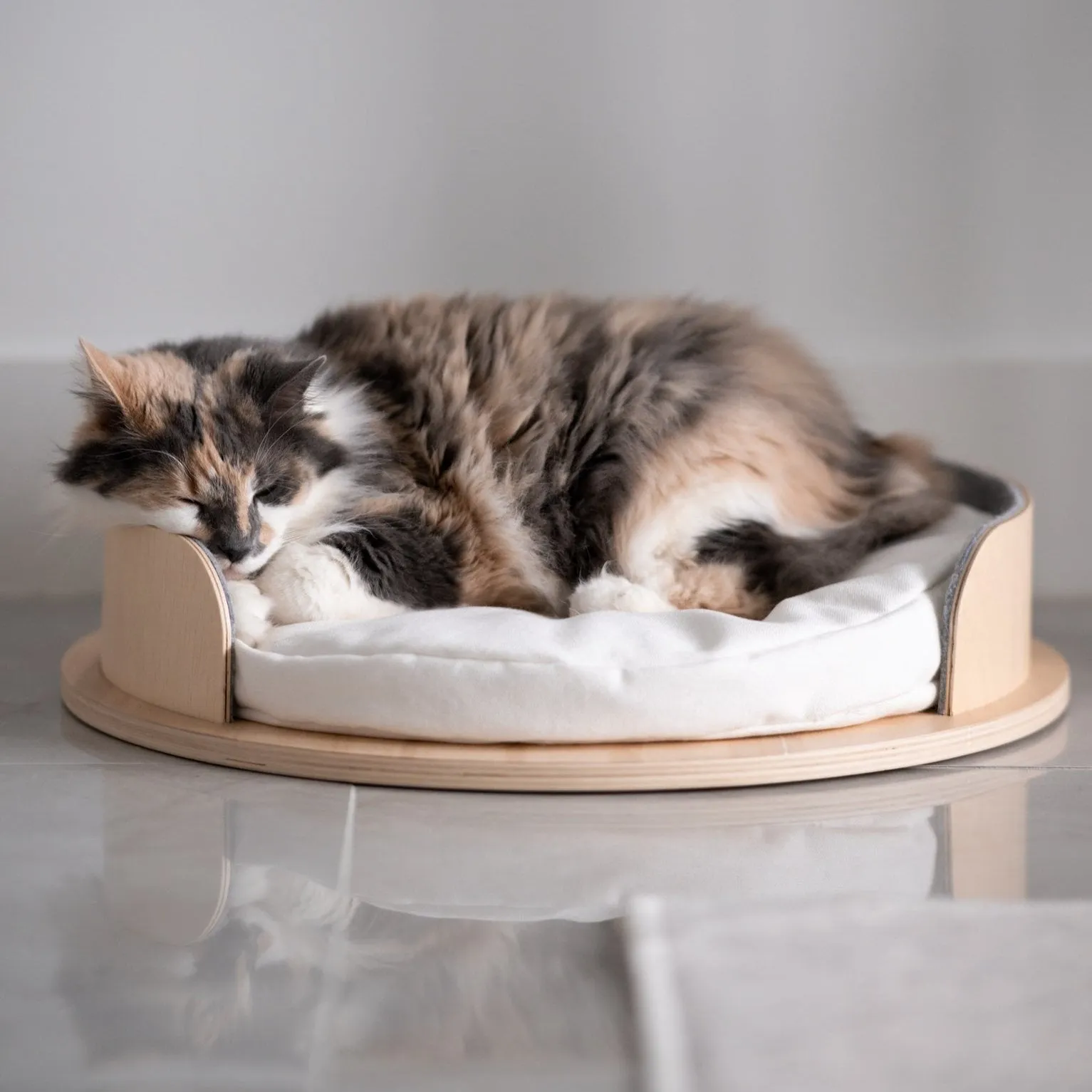 Ultimate Cat Parent Bundle