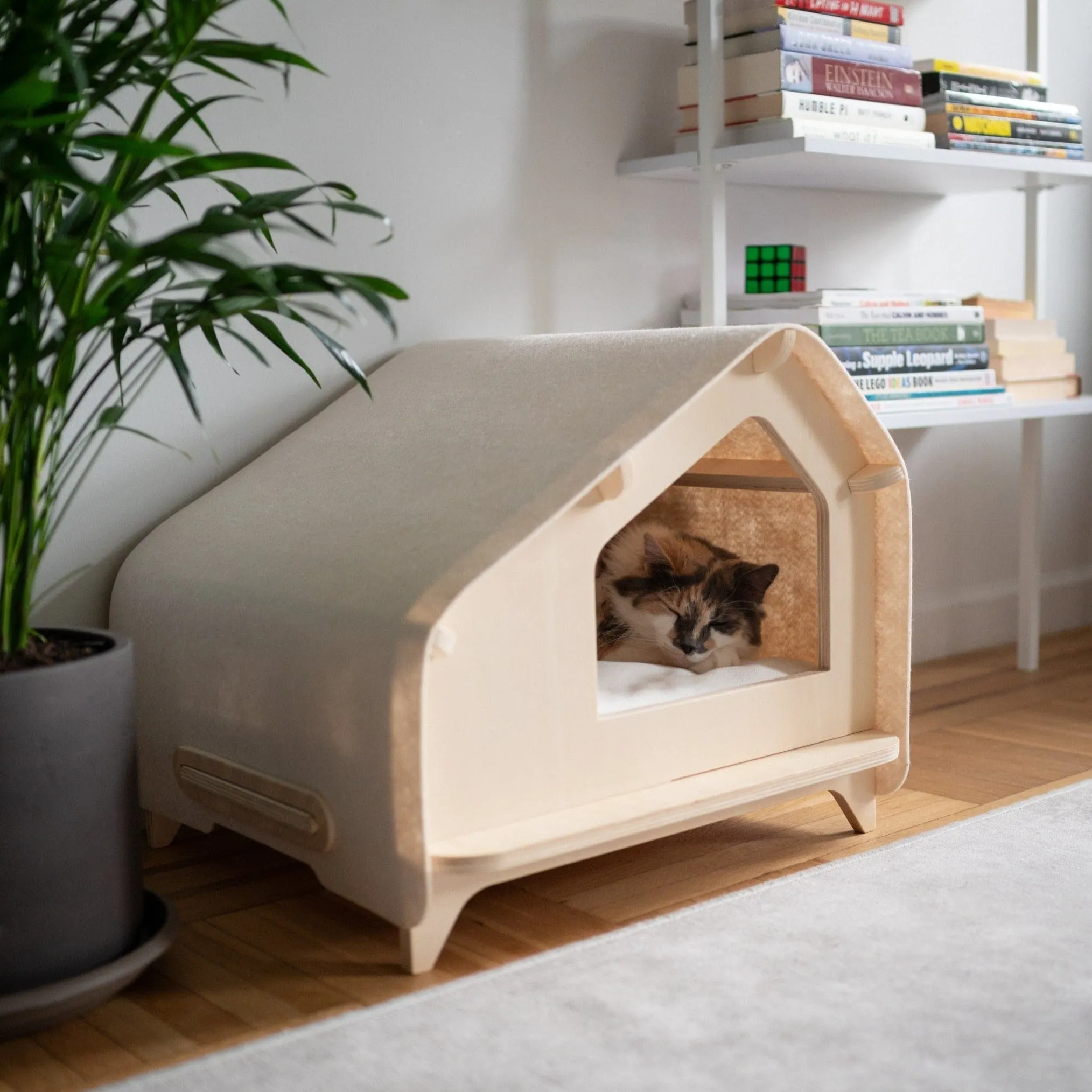 Ultimate Cat Parent Bundle