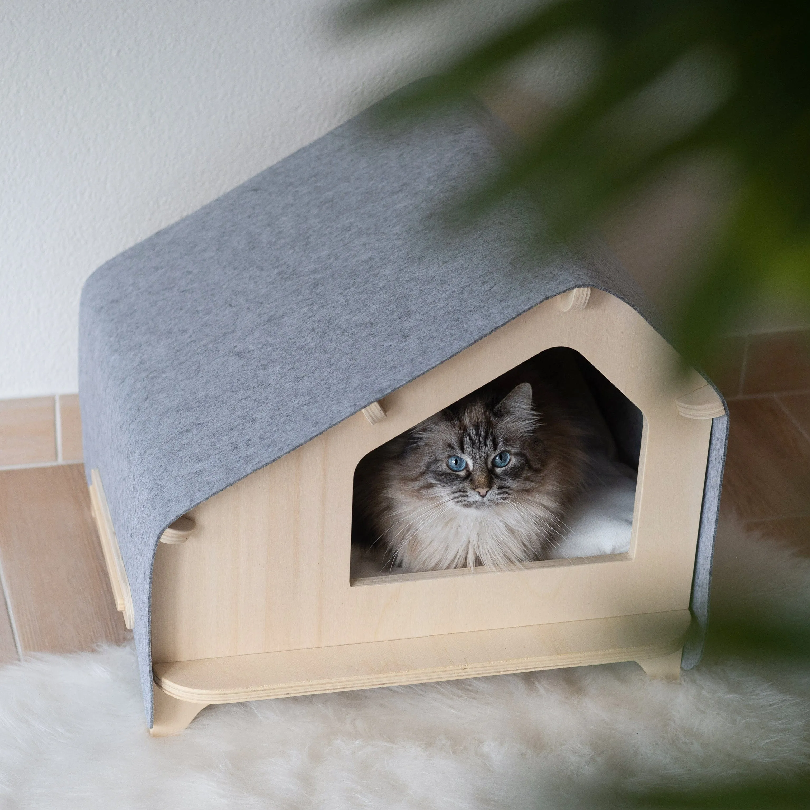 Ultimate Cat Parent Bundle
