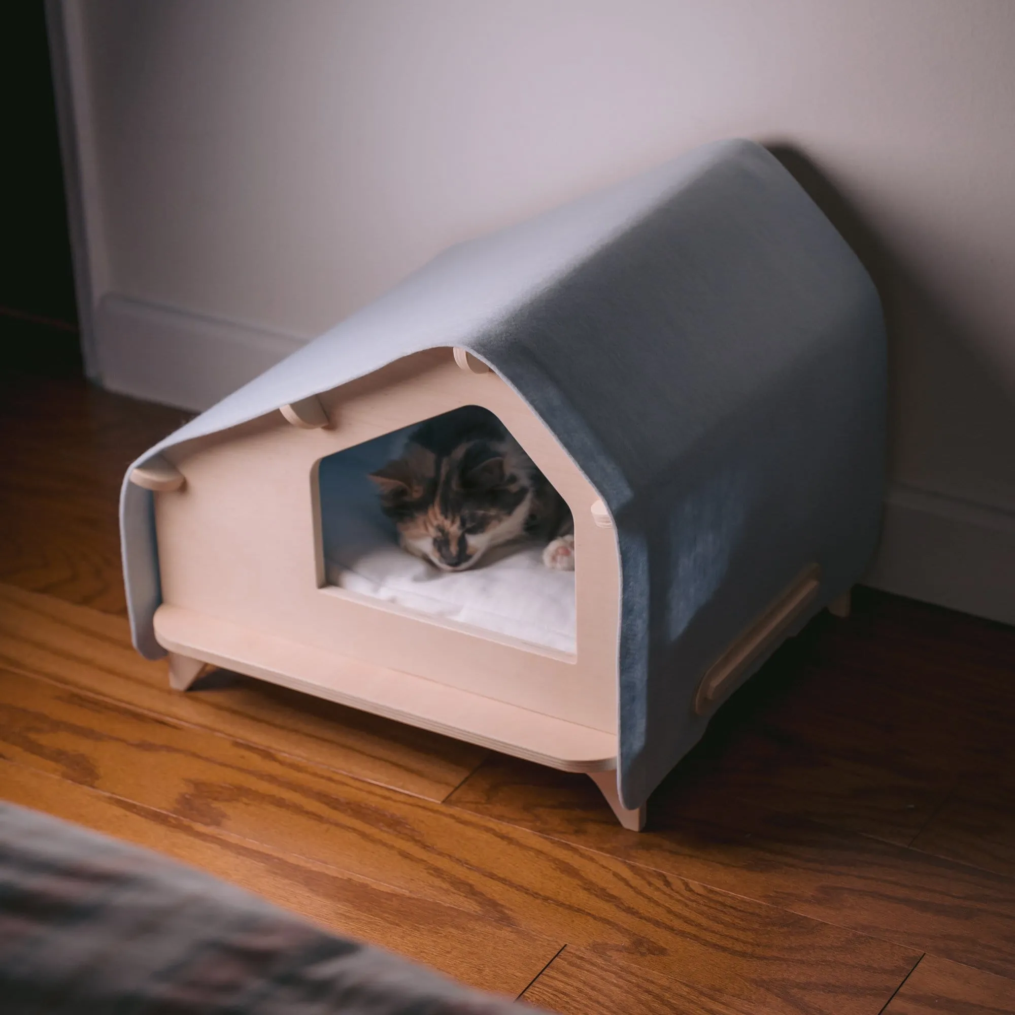 Ultimate Cat Parent Bundle