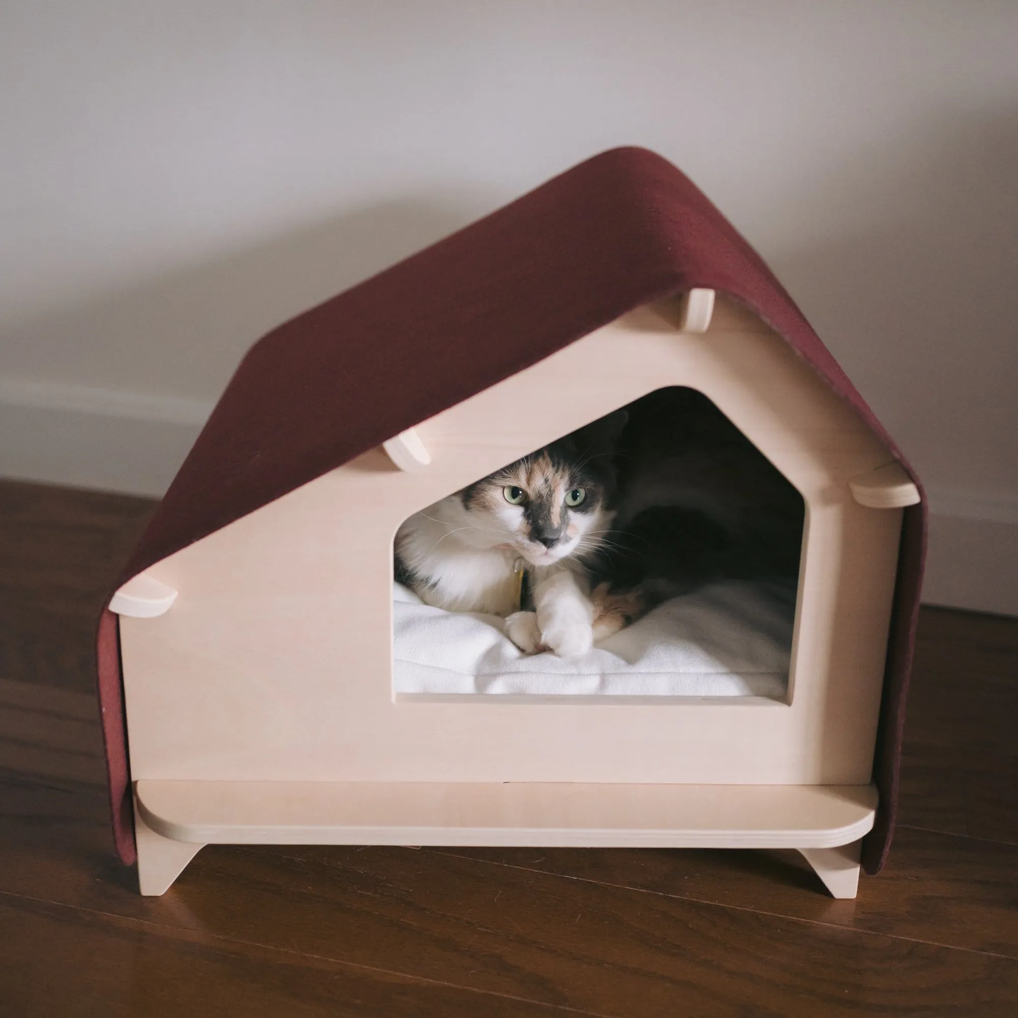 Ultimate Cat Parent Bundle