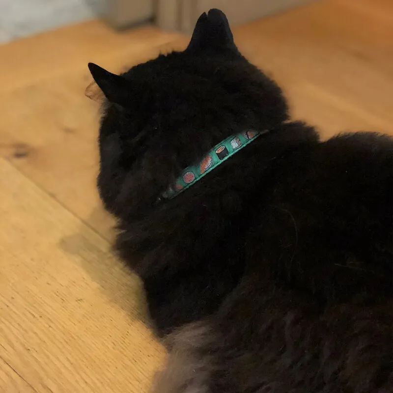 Up Country Cat Collar Sushi